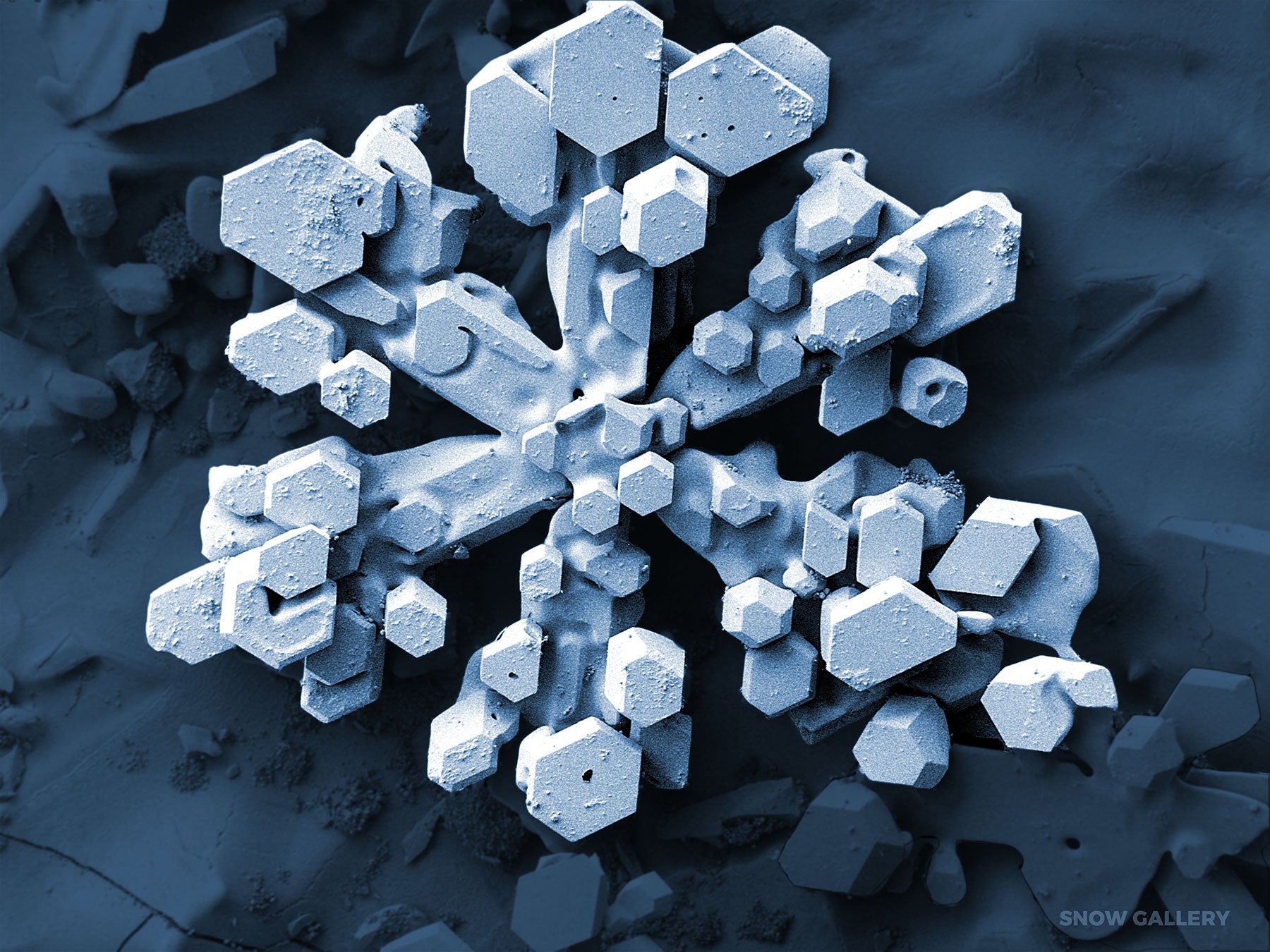electron microscope images snow
